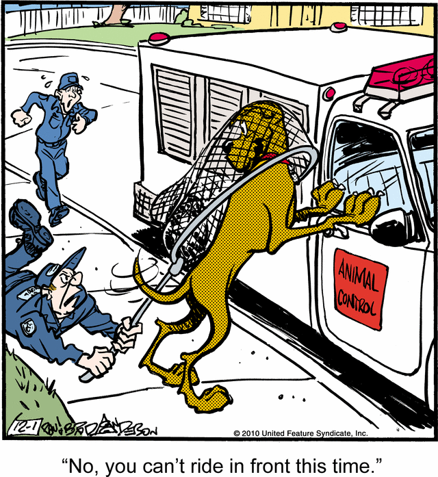 marmaduke